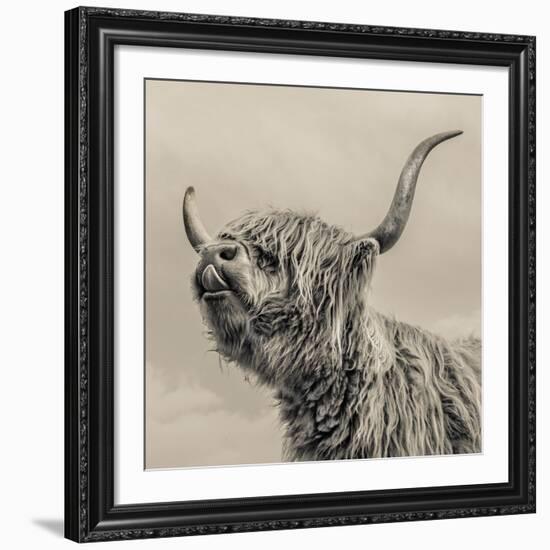 Highland Cattle-Mark Gemmell-Framed Giclee Print