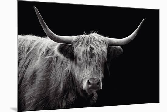 Highland Courage-Bill Philip-Mounted Giclee Print