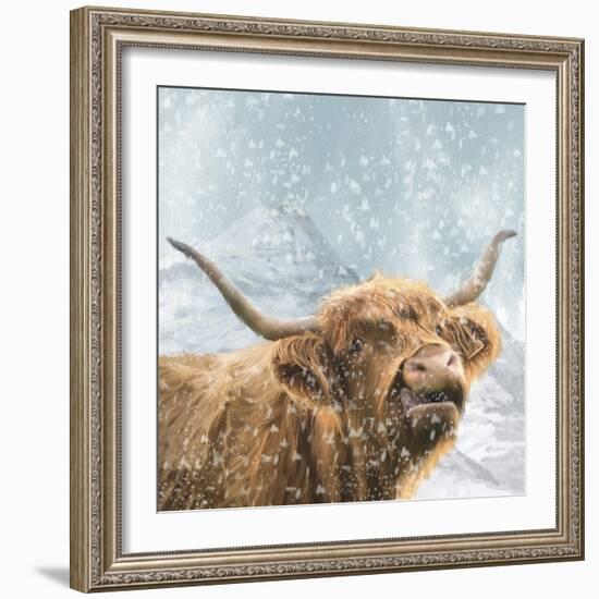 Highland Cow 001-Clare Davis London-Framed Giclee Print