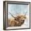 Highland Cow 001-Clare Davis London-Framed Giclee Print