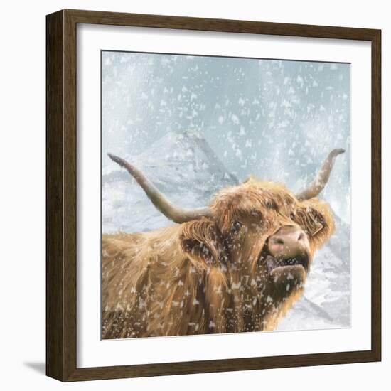 Highland Cow 001-Clare Davis London-Framed Giclee Print