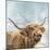 Highland Cow 001-Clare Davis London-Mounted Giclee Print