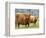 Highland Cow and Calf, Strathspey, Scotland, UK-Pete Cairns-Framed Premium Photographic Print