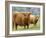 Highland Cow and Calf, Strathspey, Scotland, UK-Pete Cairns-Framed Photographic Print