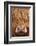 Highland Cow (Bos taurus) close-up, Isle of Mull, Inner Hebrides, Scotland, April-Laurie Campbell-Framed Photographic Print