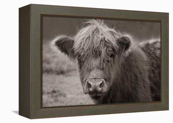 Highland Cow Do Neutral-Nathan Larson-Framed Premier Image Canvas
