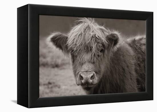 Highland Cow Do Neutral-Nathan Larson-Framed Premier Image Canvas