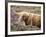 Highland Cow Grazing Among Heather Near Drinan, on Road to Elgol, Isle of Skye, Highlands, Scotland-Lee Frost-Framed Photographic Print