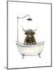 Highland Cow in Tub-Yvette St. Amant-Mounted Art Print