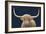 Highland Cow Navy-James Wiens-Framed Art Print