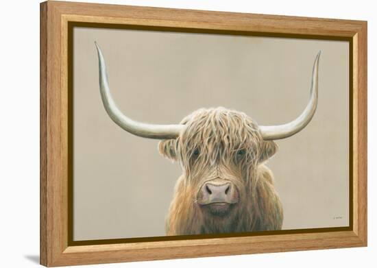 Highland Cow Neutral-James Wiens-Framed Stretched Canvas