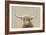 Highland Cow Neutral-James Wiens-Framed Art Print