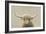 Highland Cow Neutral-James Wiens-Framed Art Print