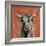 Highland Cow on Terracotta-Silvia Vassileva-Framed Art Print