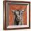 Highland Cow on Terracotta-Silvia Vassileva-Framed Art Print