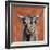 Highland Cow on Terracotta-Silvia Vassileva-Framed Art Print