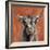 Highland Cow on Terracotta-Silvia Vassileva-Framed Premium Giclee Print