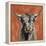 Highland Cow on Terracotta-Silvia Vassileva-Framed Stretched Canvas