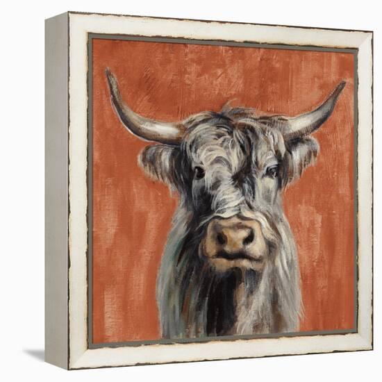 Highland Cow on Terracotta-Silvia Vassileva-Framed Stretched Canvas