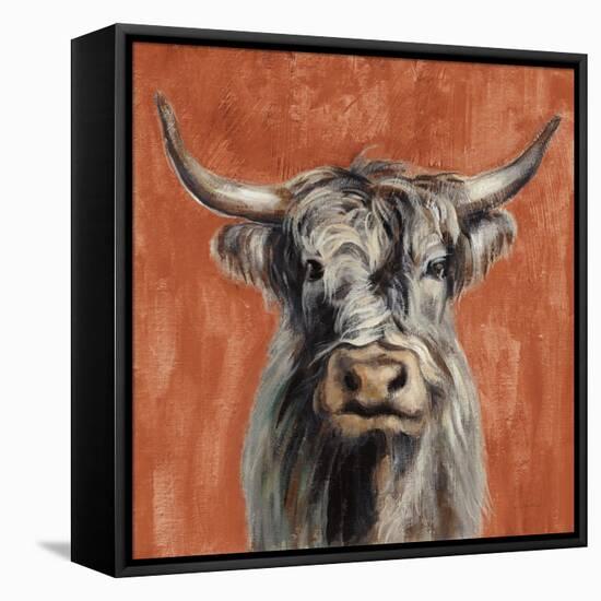 Highland Cow on Terracotta-Silvia Vassileva-Framed Stretched Canvas