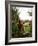 Highland Cow-Tek Image-Framed Photographic Print