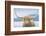 Highland Cow-James Wiens-Framed Photographic Print