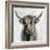 Highland Cow-Silvia Vassileva-Framed Art Print