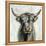 Highland Cow-Silvia Vassileva-Framed Stretched Canvas