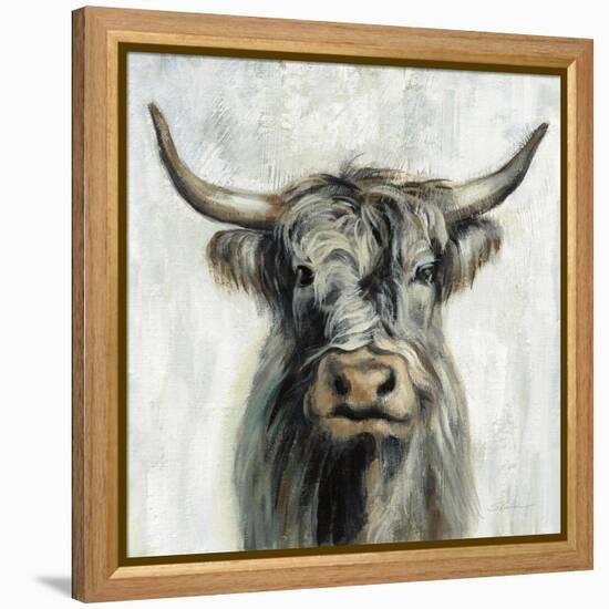 Highland Cow-Silvia Vassileva-Framed Stretched Canvas