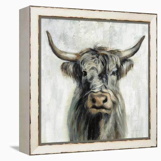 Highland Cow-Silvia Vassileva-Framed Stretched Canvas