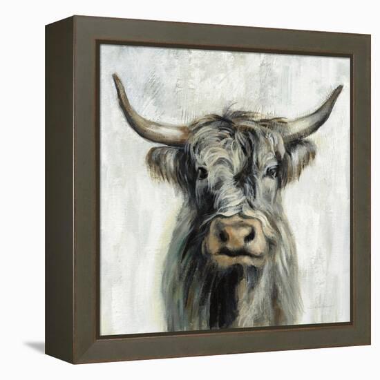 Highland Cow-Silvia Vassileva-Framed Stretched Canvas