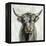 Highland Cow-Silvia Vassileva-Framed Stretched Canvas