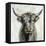 Highland Cow-Silvia Vassileva-Framed Stretched Canvas