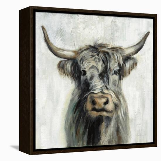 Highland Cow-Silvia Vassileva-Framed Stretched Canvas