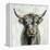 Highland Cow-Silvia Vassileva-Framed Stretched Canvas