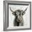 Highland Cow-Silvia Vassileva-Framed Premium Giclee Print