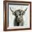 Highland Cow-Silvia Vassileva-Framed Premium Giclee Print