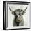 Highland Cow-Silvia Vassileva-Framed Premium Giclee Print