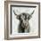 Highland Cow-Silvia Vassileva-Framed Art Print