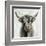 Highland Cow-Silvia Vassileva-Framed Art Print