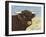 Highland Cow-Gwendolyn Babbitt-Framed Art Print