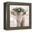 Highland Cow-Sarah Butcher-Framed Stretched Canvas