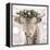 Highland Cow-Sarah Butcher-Framed Stretched Canvas