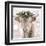 Highland Cow-Sarah Butcher-Framed Art Print