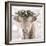 Highland Cow-Sarah Butcher-Framed Art Print