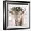 Highland Cow-Sarah Butcher-Framed Art Print