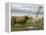 Highland Cows Courting and Grooming, Scotland-Ellen Anon-Framed Premier Image Canvas