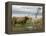 Highland Cows Courting and Grooming, Scotland-Ellen Anon-Framed Premier Image Canvas