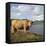 Highland Cows on the Isle of Skye-CM Dixon-Framed Stretched Canvas