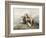 Highland Dogs-Edwin Henry Landseer-Framed Art Print